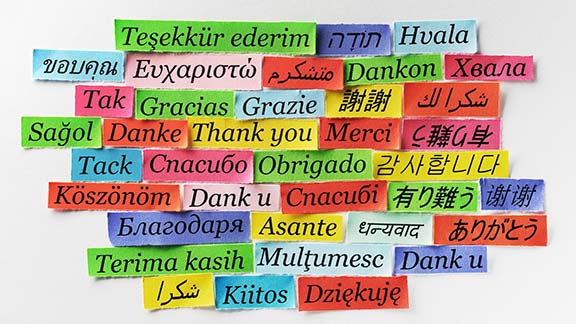 words written in different languages on colored strips of paper