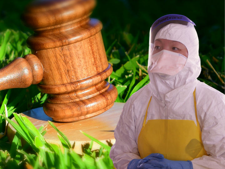 Gavel and grass and person wearing PPE